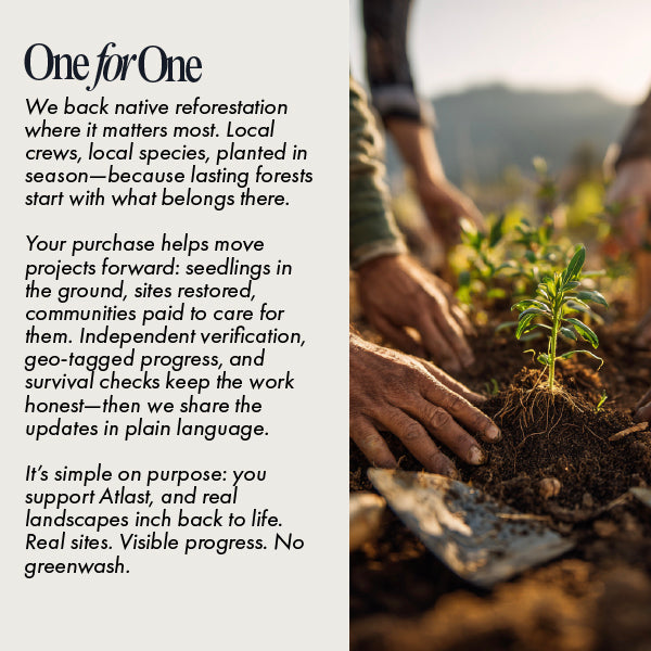 Lemon Mint Instant Yerba Mate+ | 30 Servings