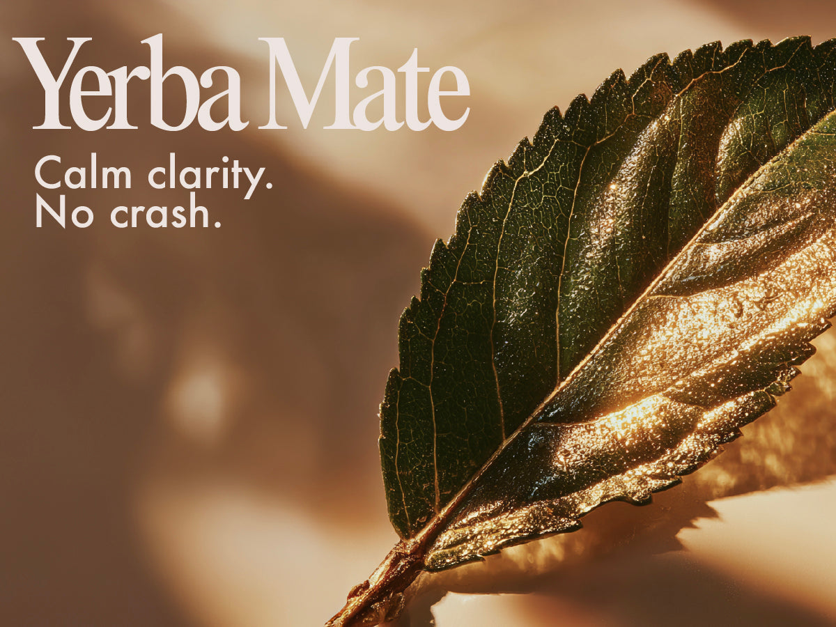 Instant Yerba Mate | 50 Servings (Unflavored)