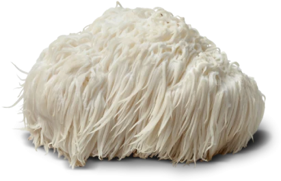 Memory, Focus, Cognition