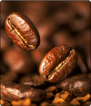 1st Wave of Coffee